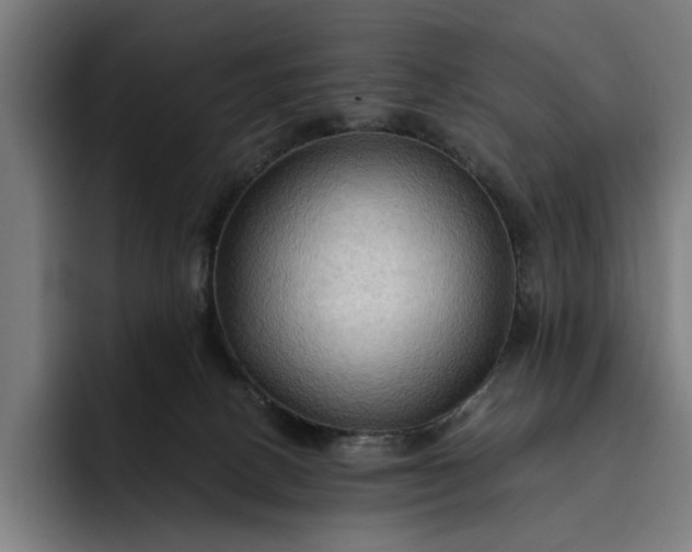 X0000093250082200710101448