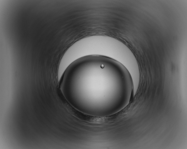 X0000093250084200710101448