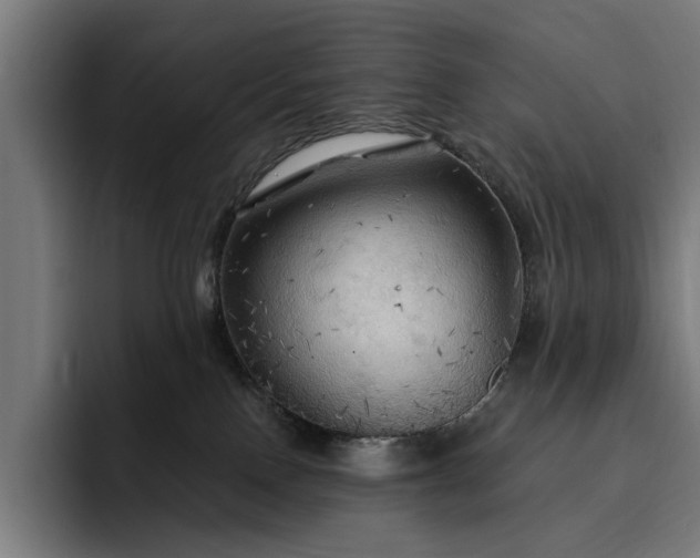 X0000093250090200710101448