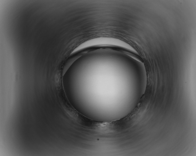 X0000093250092200710101449