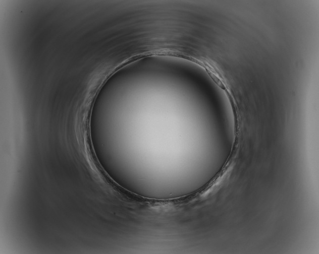 X0000093250097200710101448