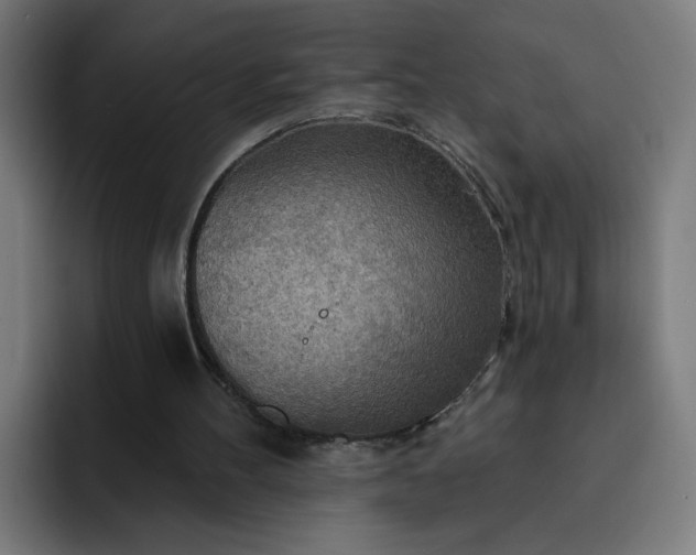 X0000093250100200710101448