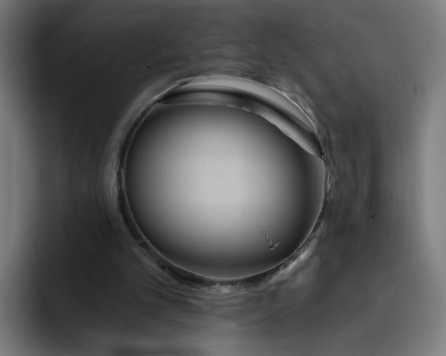 X0000093250101200710101448