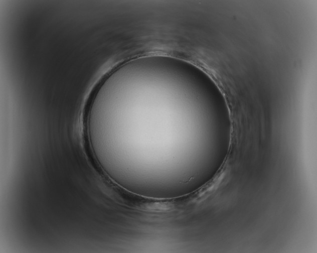 X0000093250102200710101448