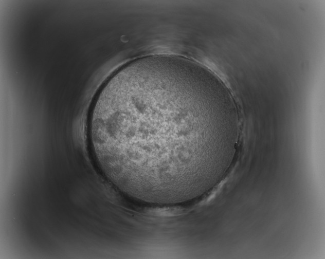 X0000093250103200710101448