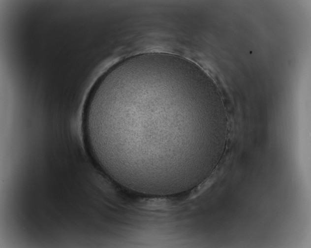 X0000093250104200710101448