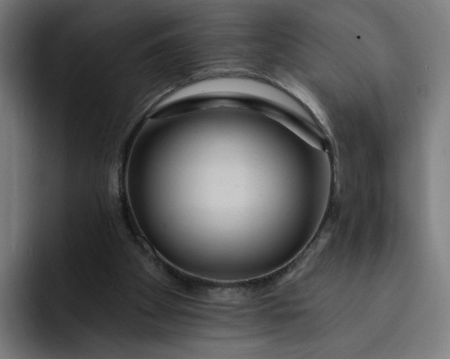 X0000093250105200710101448