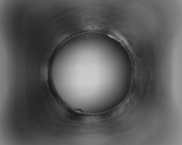 X0000093250106200710101448