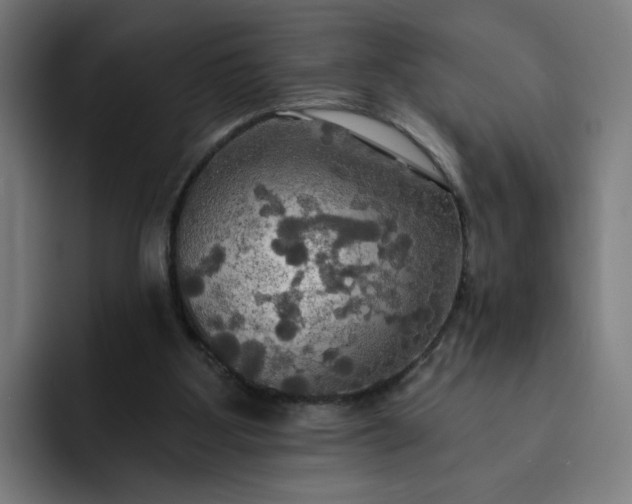 X0000093250107200710101448