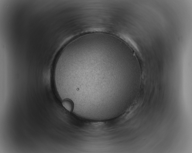 X0000093250108200710101448