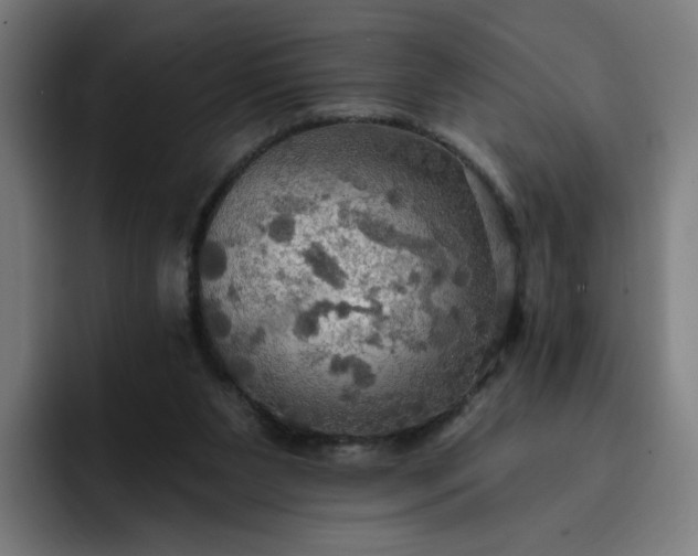 X0000093250111200710101448