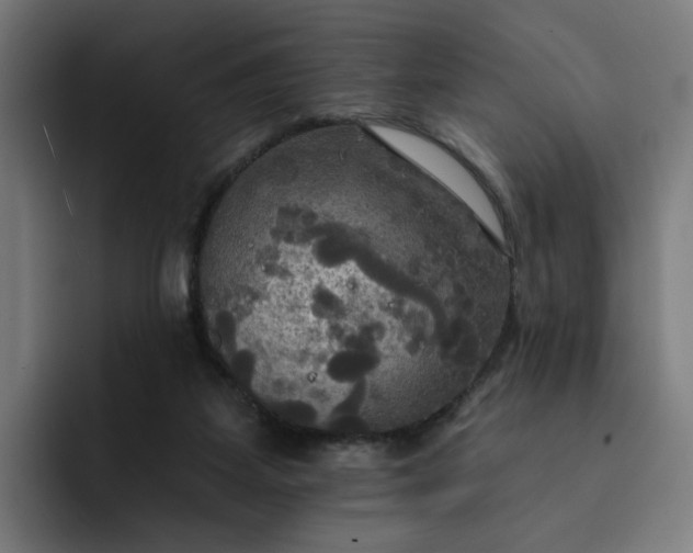 X0000093250115200710101448