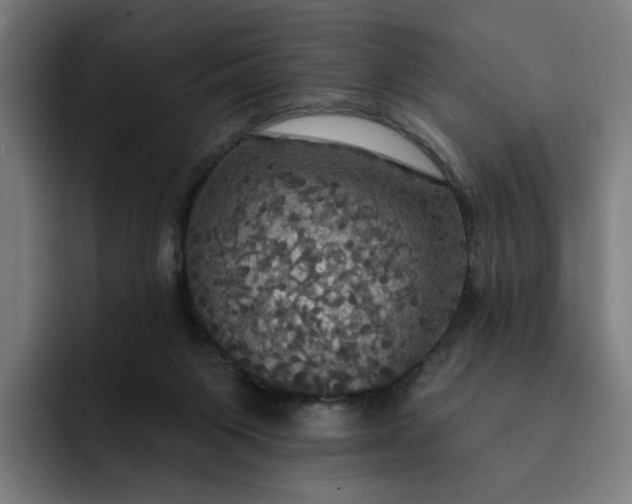 X0000093250119200710101448