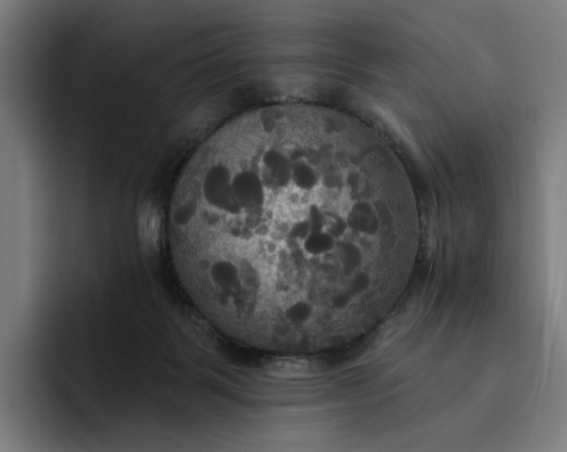 X0000093250123200710101448