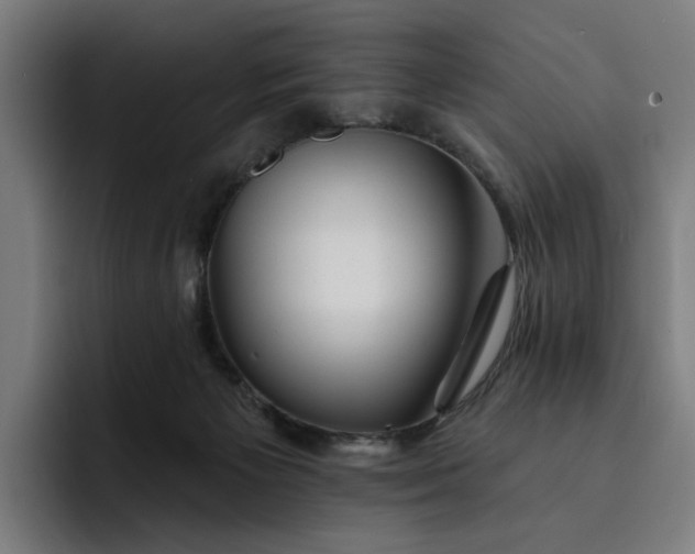 X0000093250125200710101448