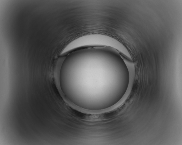 X0000093250129200710101448