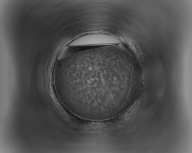 X0000093250145200710101447