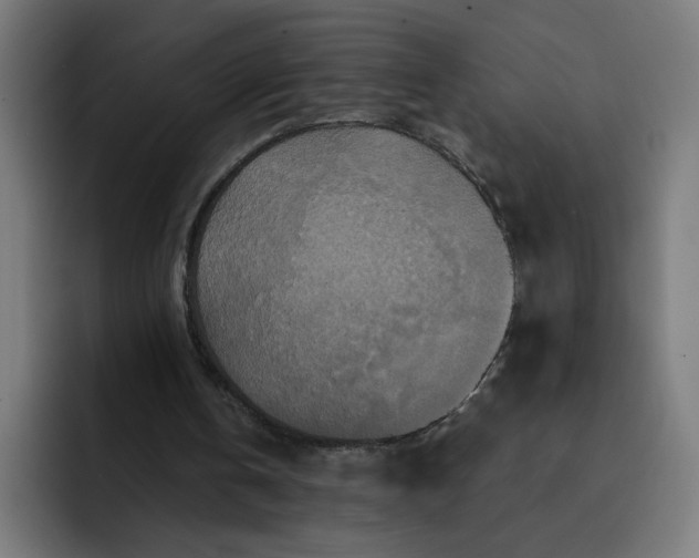 X0000093250146200710101447