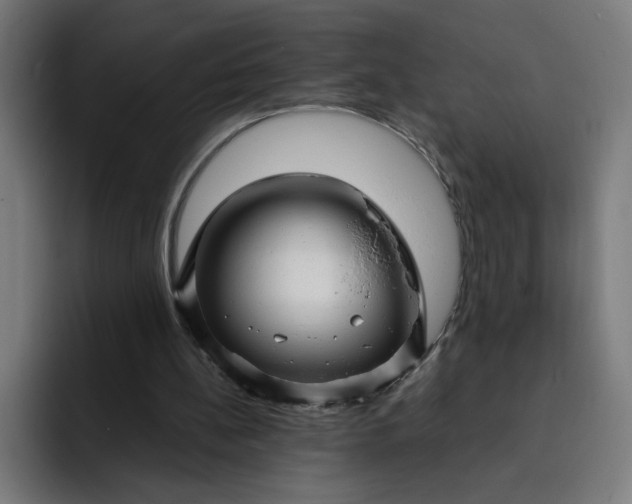 X0000093250148200710101447