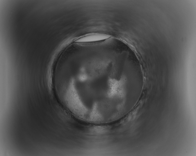 X0000093250149200710101447