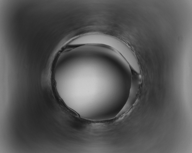 X0000093250150200710101447