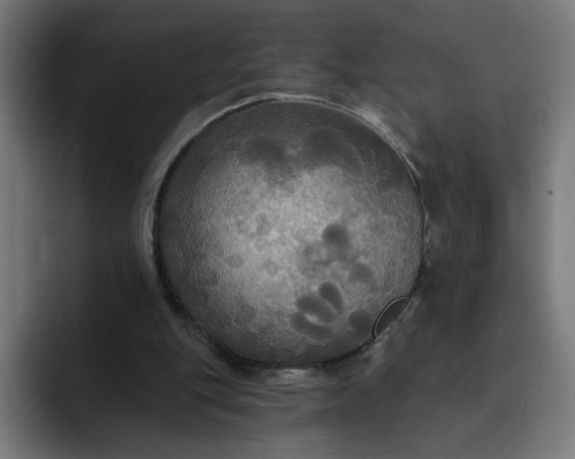 X0000093250151200710101447