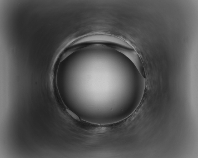 X0000093250152200710101447