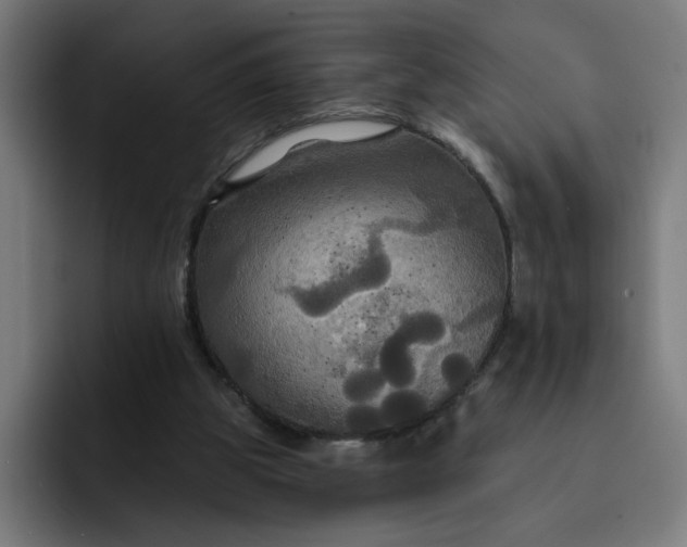 X0000093250153200710101447