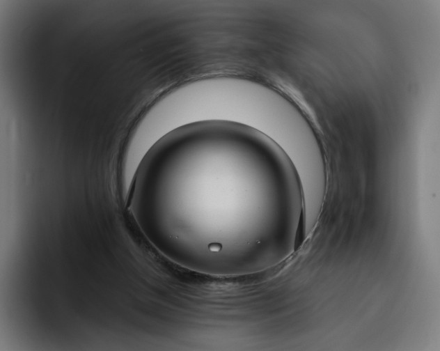 X0000093250154200710101447