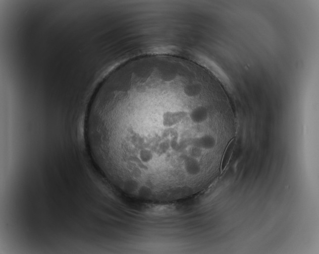 X0000093250155200710101447