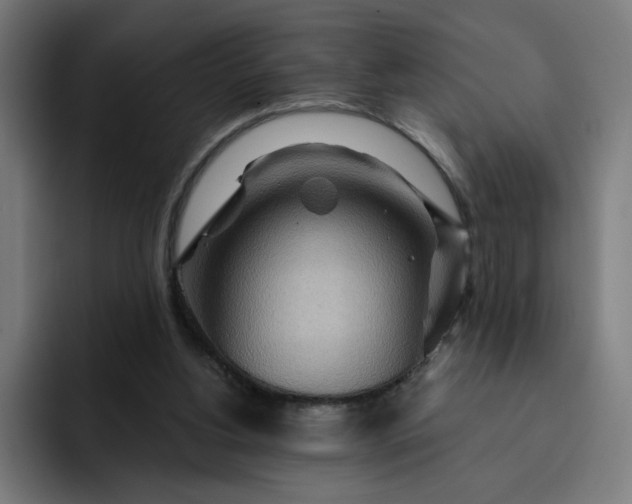 X0000093250156200710101447