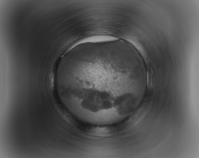 X0000093250157200710101447