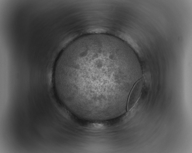 X0000093250159200710101447