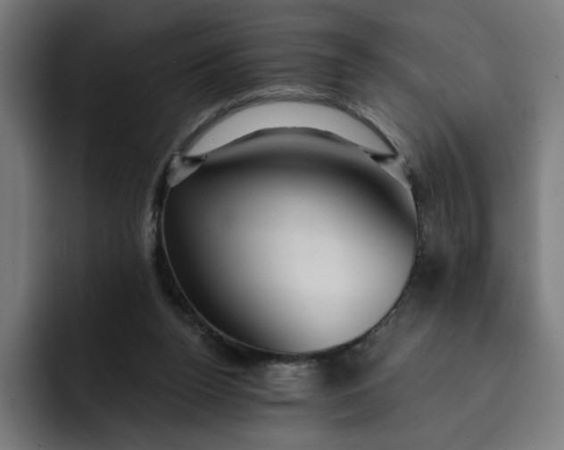 X0000093250160200710101447