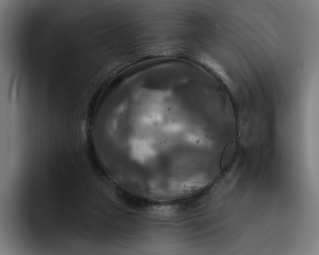 X0000093250161200710101447