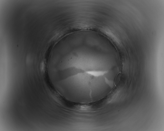 X0000093250165200710101447