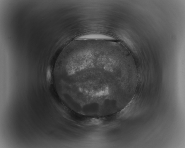 X0000093250166200710101447