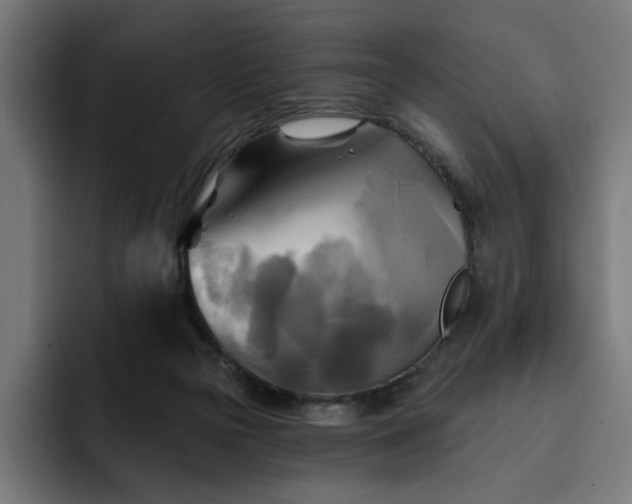 X0000093250169200710101447