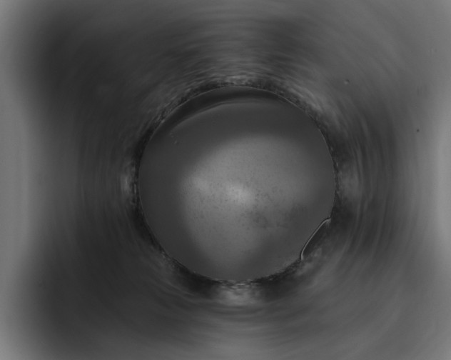 X0000093250181200710101447