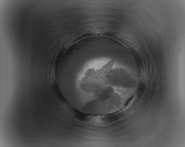 X0000093250182200710101447