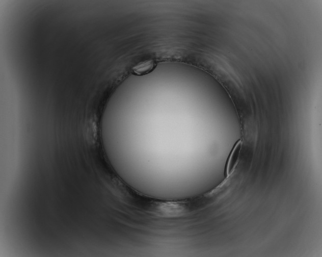 X0000093250183200710101447