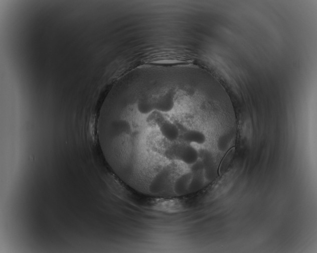 X0000093250185200710101447