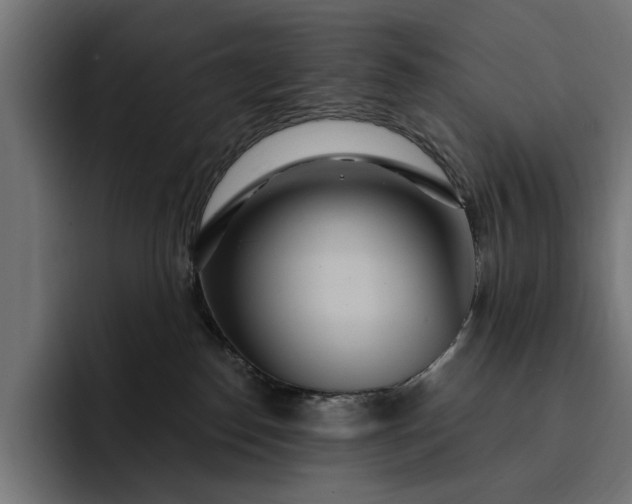 X0000093250186200710101447