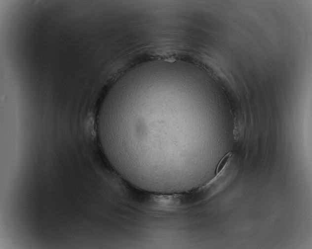 X0000093250187200710101447