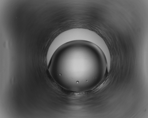 X0000093250188200710101447