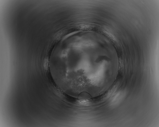 X0000093250189200710101447