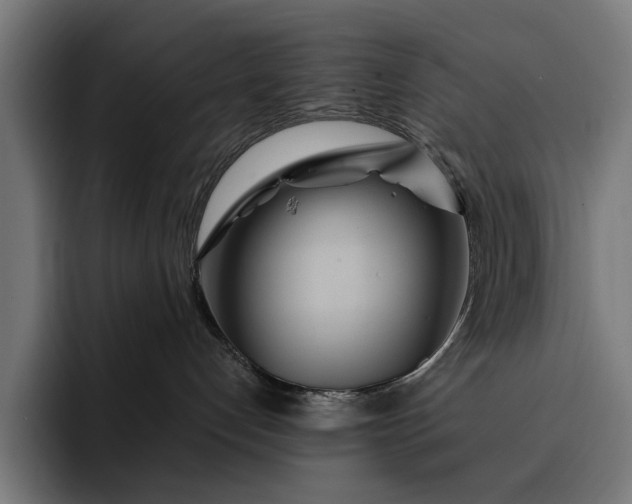 X0000093250192200710101447