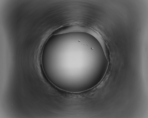 X0000093250193200710101447