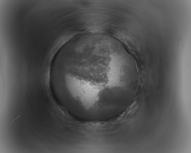 X0000093250194200710101447