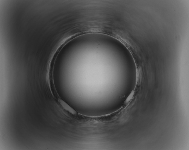 X0000093250195200710101447